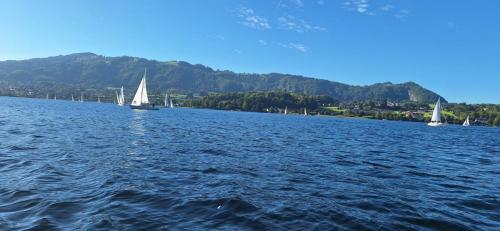 IMG-20250922-WA0010