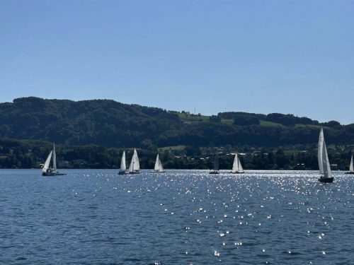 IMG 7895