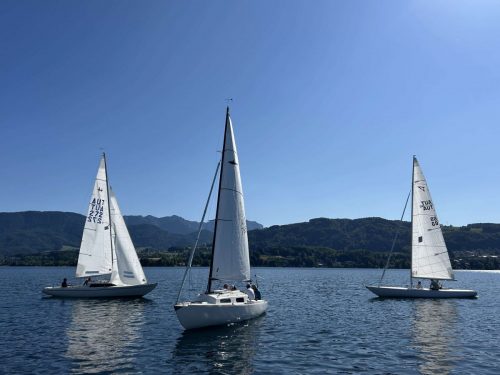 IMG 7902